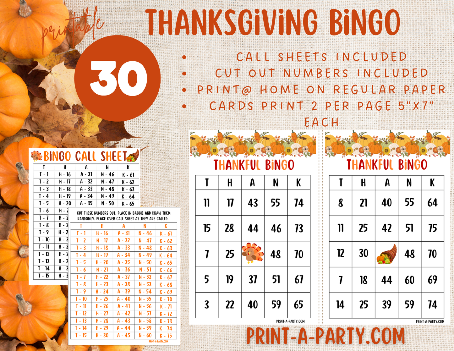 BINGO: Thanksgiving Printable Bingo Game – Fun Holiday Activity for Family & Classroom Parties