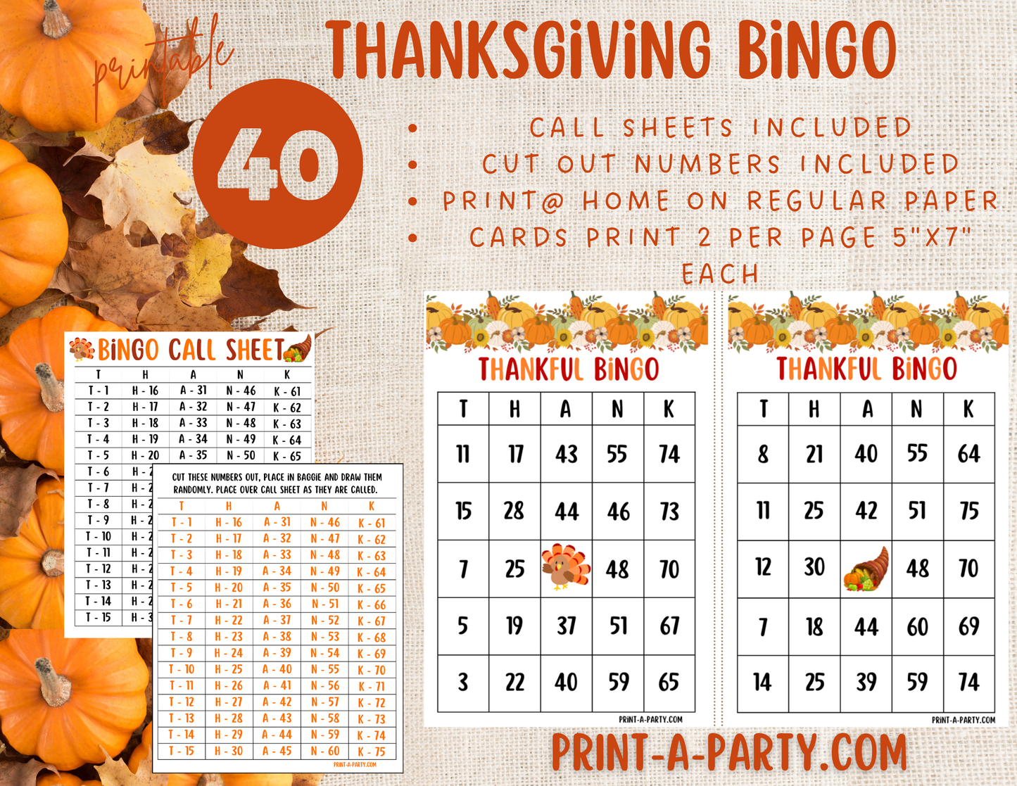 BINGO: Thanksgiving Printable Bingo Game – Fun Holiday Activity for Family & Classroom Parties