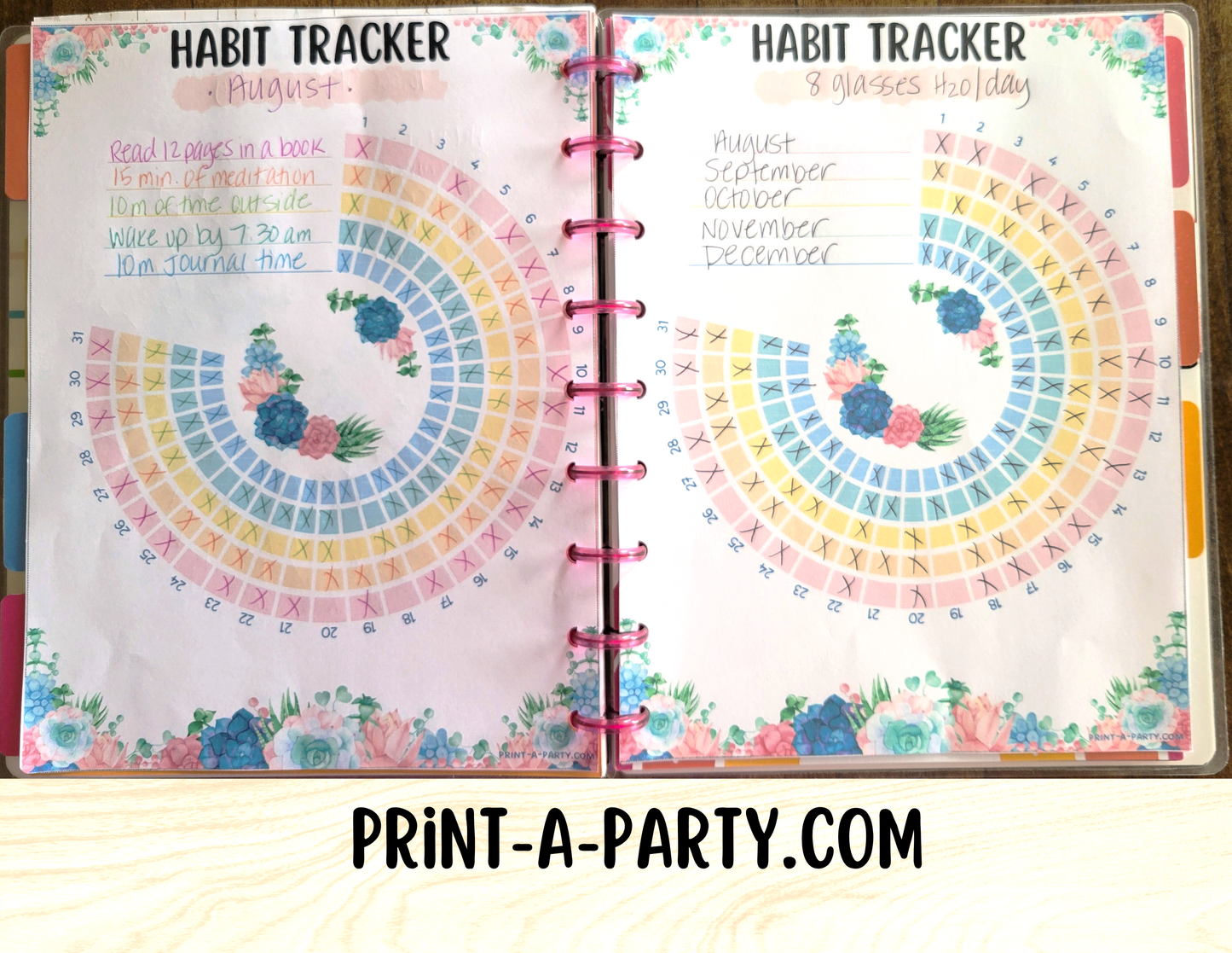 Habit Tracker Planner Page | Habit Tracking Printable Planner | Pastel Succulents | Planner Printable