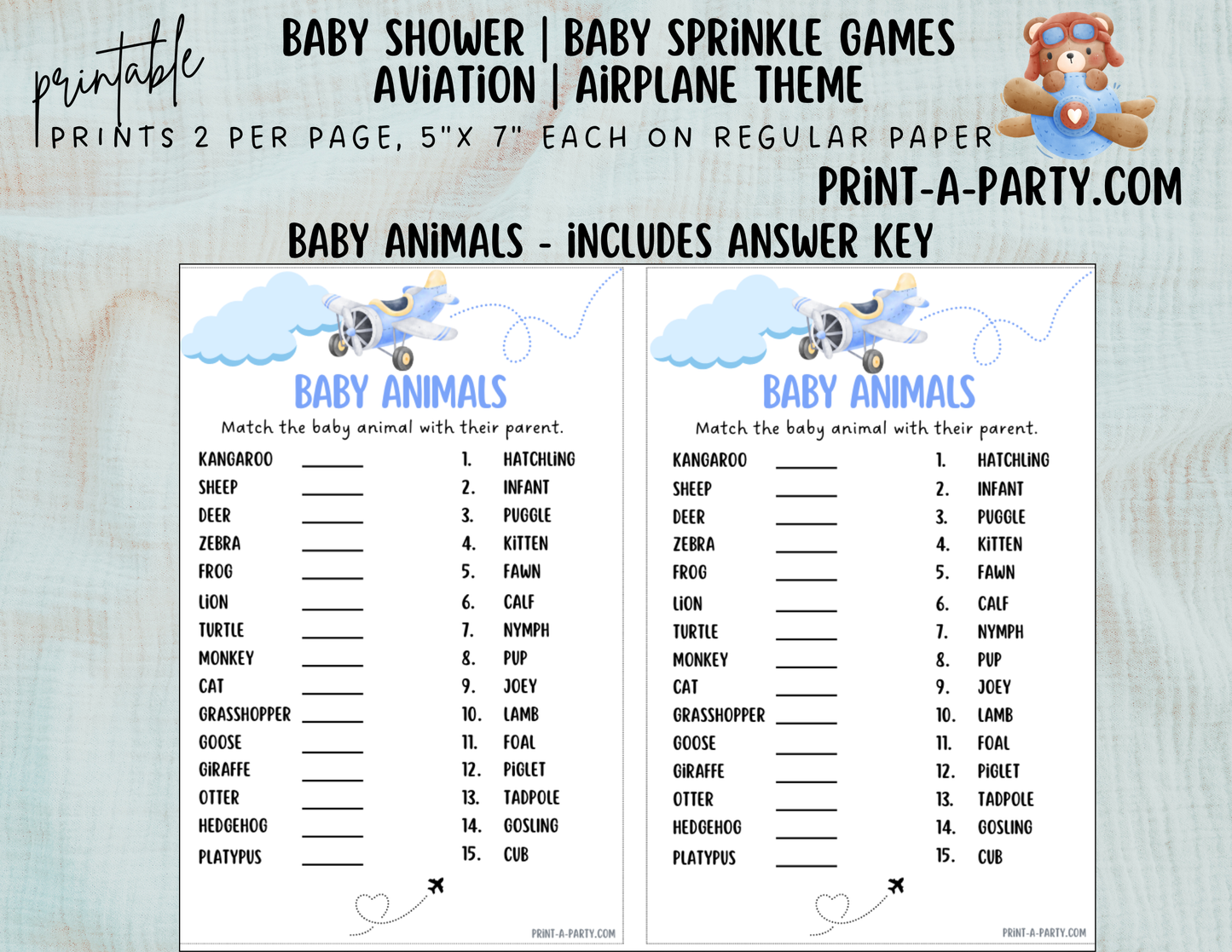 GAMES for Baby Shower | Airplane Aviation Baby Shower Theme | Airplane Aviation Baby Shower Games | Aviation Baby Shower Ideas