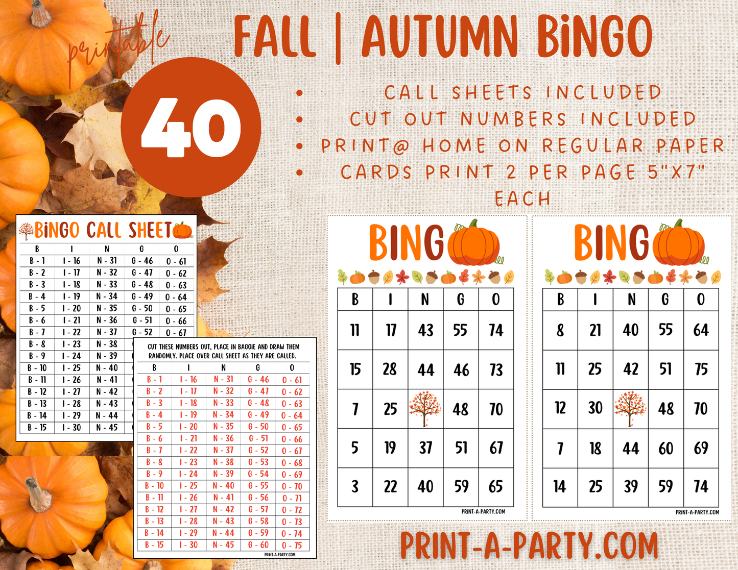 BINGO: Fall | Autumn | Pumpkin | Classrooms | Parties | Birthday | 30, 40, or 50 cards - INSTANT DOWNLOAD