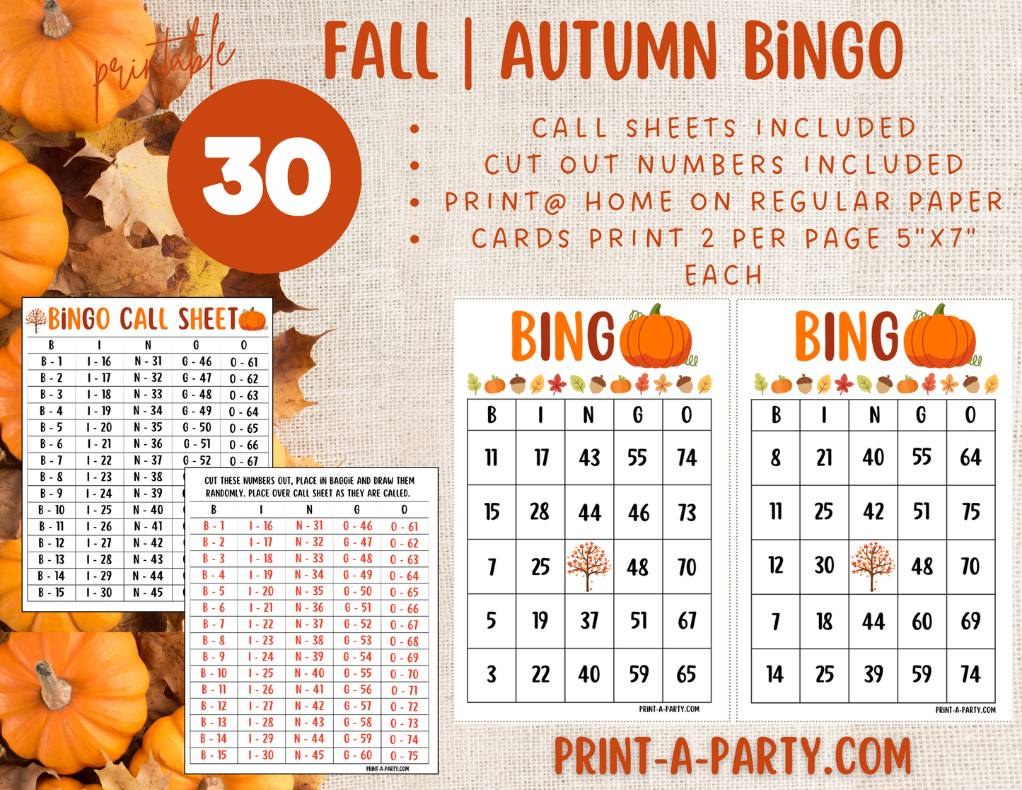 BINGO: Fall | Autumn | Pumpkin | Classrooms | Parties | Birthday | 30, 40, or 50 cards - INSTANT DOWNLOAD