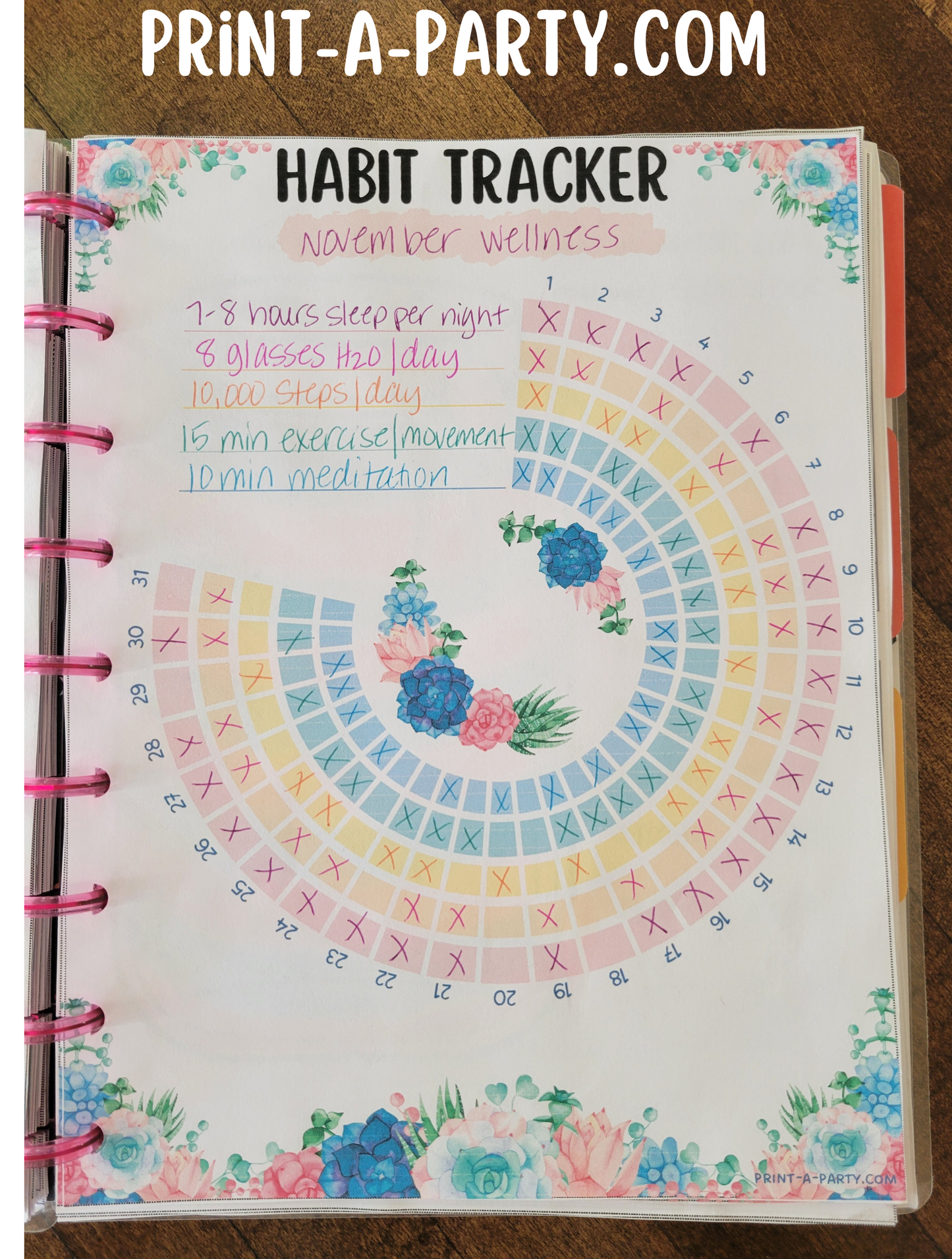 Habit Tracker Planner Page | Habit Tracking Printable Planner | Pastel Succulents | Planner Printable