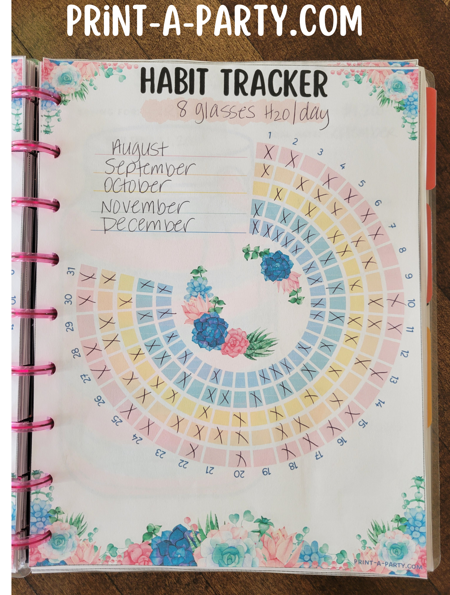 Habit Tracker Planner Page | Habit Tracking Printable Planner | Pastel Succulents | Planner Printable