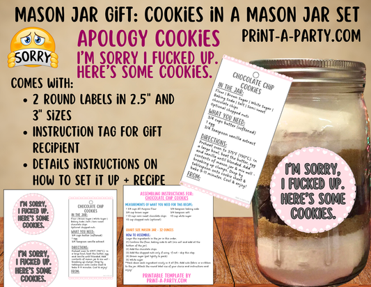 MASON JAR COOKIE GIFT: Apology (Dark Humor) Chocolate Chip Cookies in a Mason Jar | I'm Sorry I Fucked Up. Here's Some Cookies gift | Mason Jar Gift Kit | Mason Jar Gift Idea | Apology Gift Idea