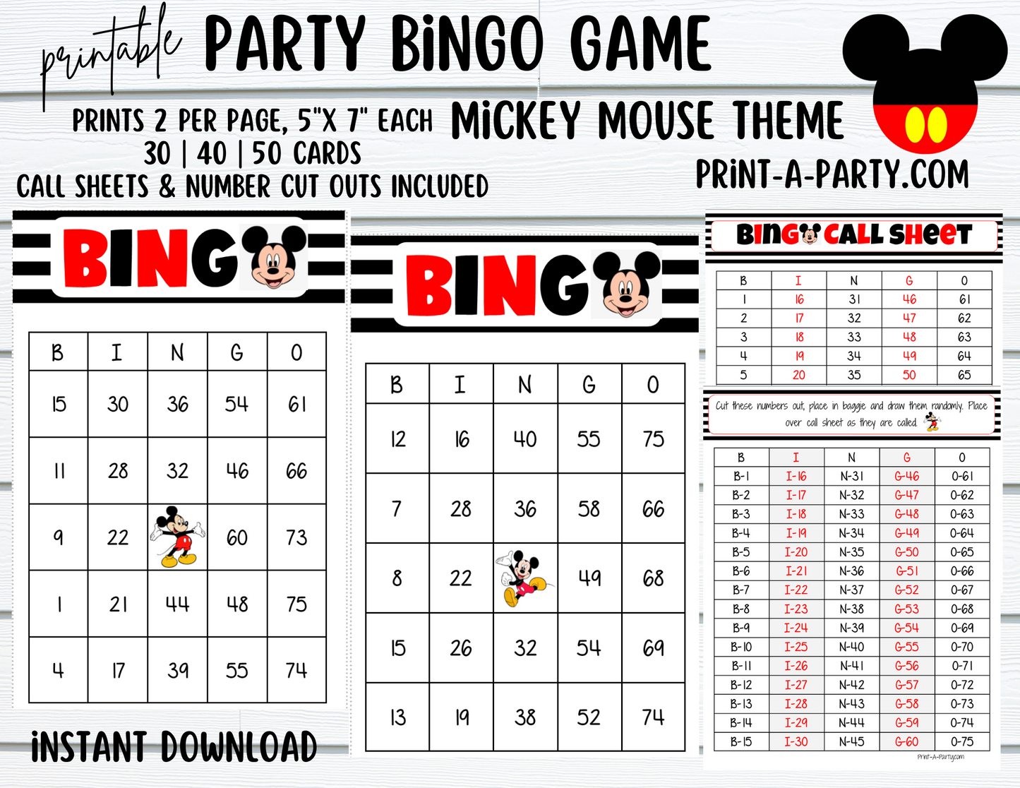 BINGO: Mouse | Classrooms | Parties | Birthday | 30, 40, or 50 cards - INSTANT DOWNLOAD