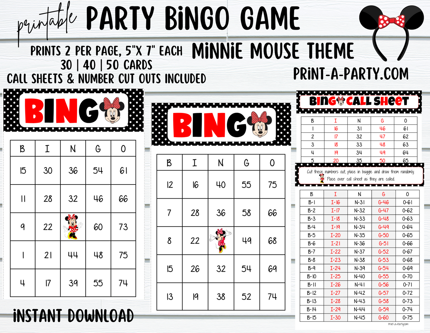 BINGO: Female Mouse | Classrooms | Parties | Birthday | 30, 40, or 50 cards - INSTANT DOWNLOAD