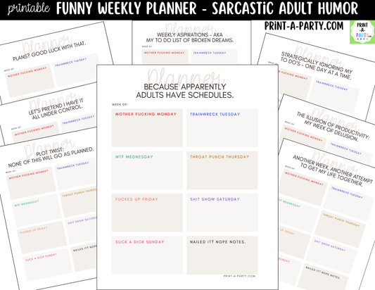Funny Weekly Planner Printable | Sarcastic Box Layout