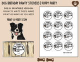 Dog Birthday PAWty Stickers | Printable or Editable | Dog Party | Puppy Birthday | First Birthday | Dog Favors | Dog Pawty | Thank You Stickers