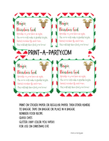 CHRISTMAS MAGIC KIT | Santa Letters (2) | Reindeer Food | Wish List | - INSTANT DOWNLOAD